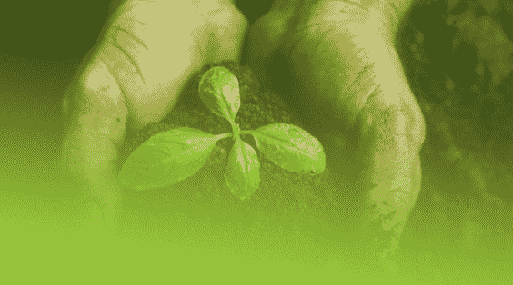 Our story :story_hands